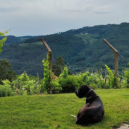 הוילה Nogueira De Ramuin Casa Da Vina - Ribeira Sacra מראה חיצוני תמונה