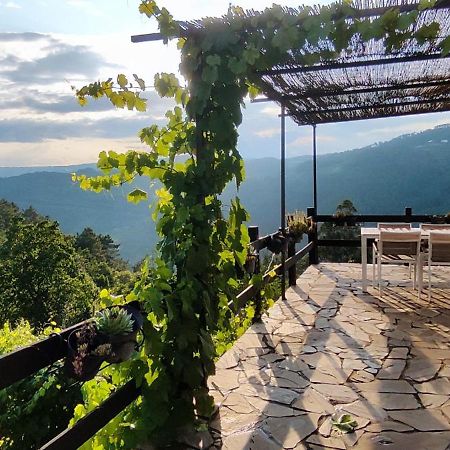 הוילה Nogueira De Ramuin Casa Da Vina - Ribeira Sacra מראה חיצוני תמונה