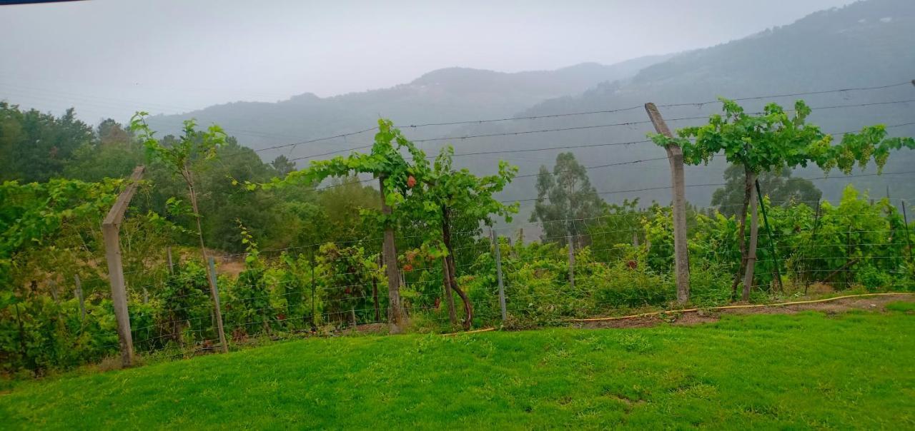 הוילה Nogueira De Ramuin Casa Da Vina - Ribeira Sacra מראה חיצוני תמונה