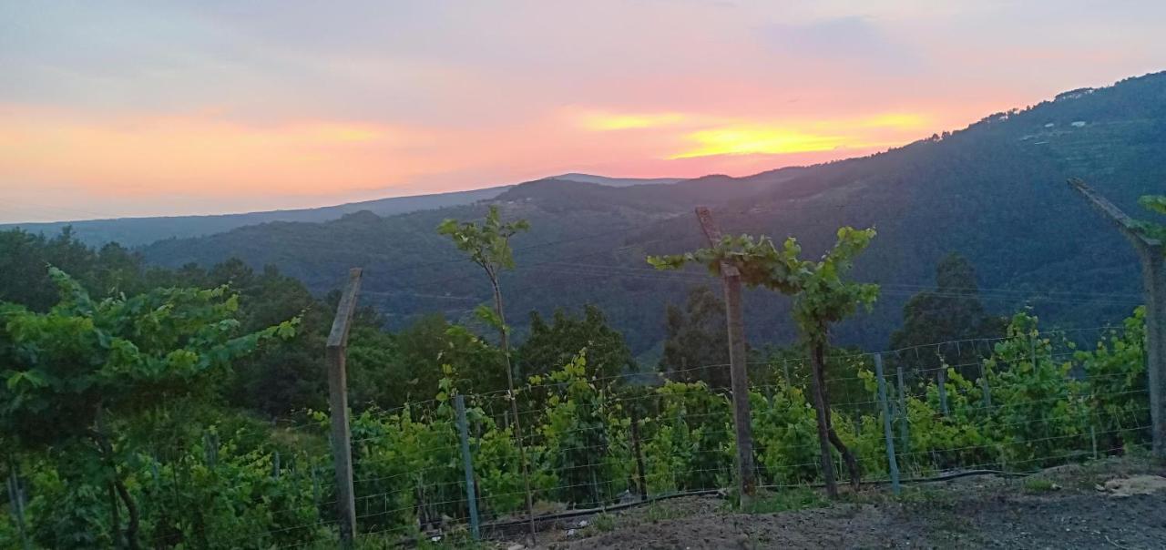 הוילה Nogueira De Ramuin Casa Da Vina - Ribeira Sacra מראה חיצוני תמונה